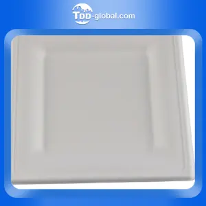 Wholesale high quality rectangle square disposable paper dishes sugarcane bagasse food container biodegradable plates