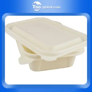 China manufacturer direct wholesale plastic cornstarch lunch box biodegradable 450ml rectangle food container