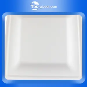 Sell high-quality good price 100% compostable biodegradable tablewares biodegradable plates disposable plates