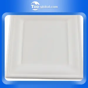 Manufacturers direct sale biodegradable plates with customization food container biodegradable sugarcane plates